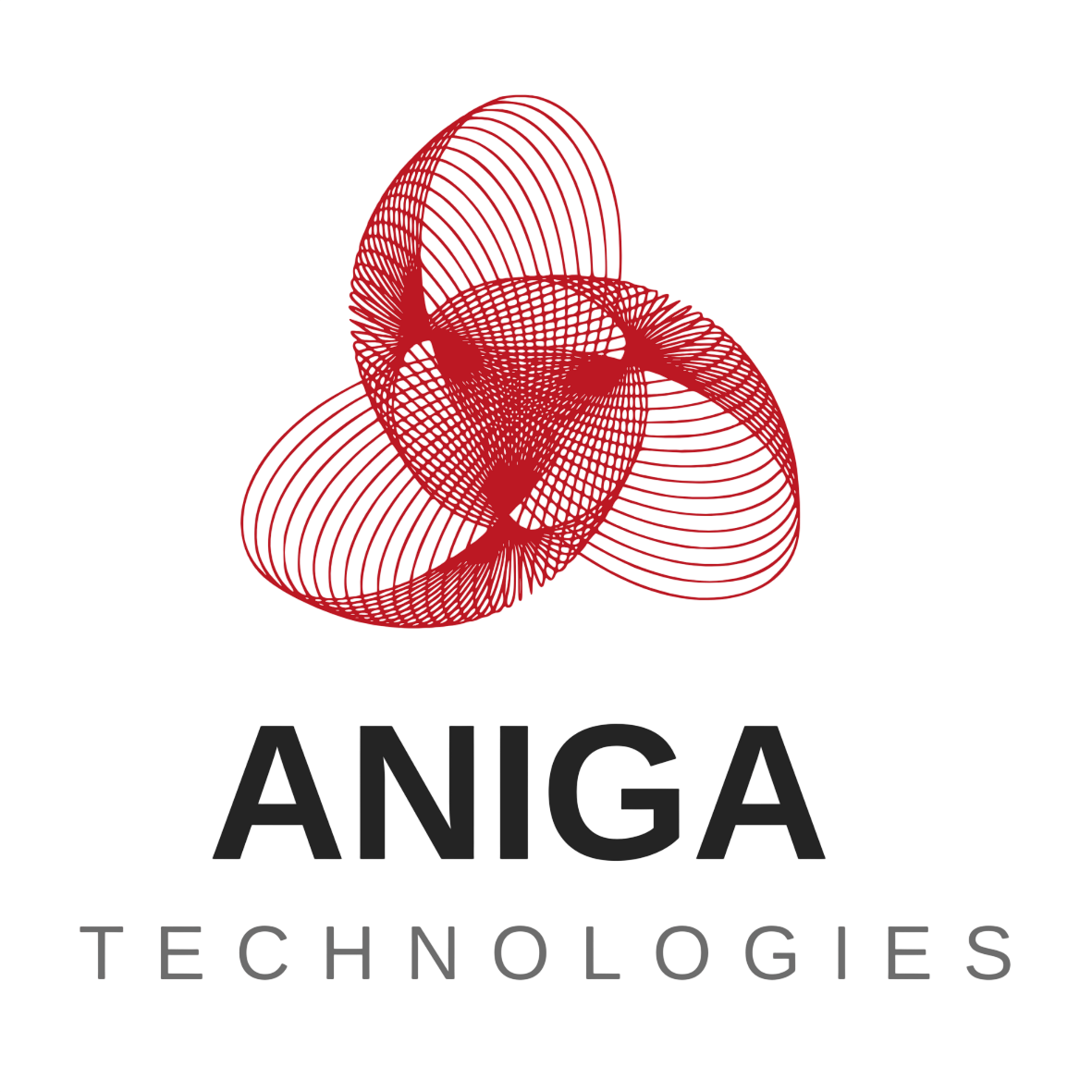 Aniga logo transparent